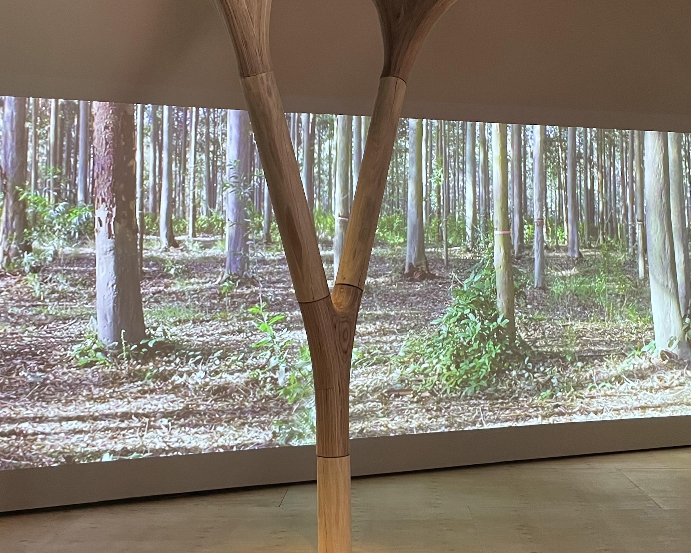 Tangible Dynamics in Architecture: Designing for material, structural and environmental performance optimisation