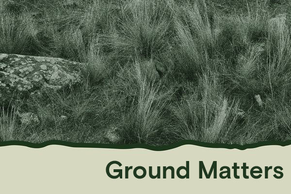 Ground Matters ON DEMAND BUNDLE