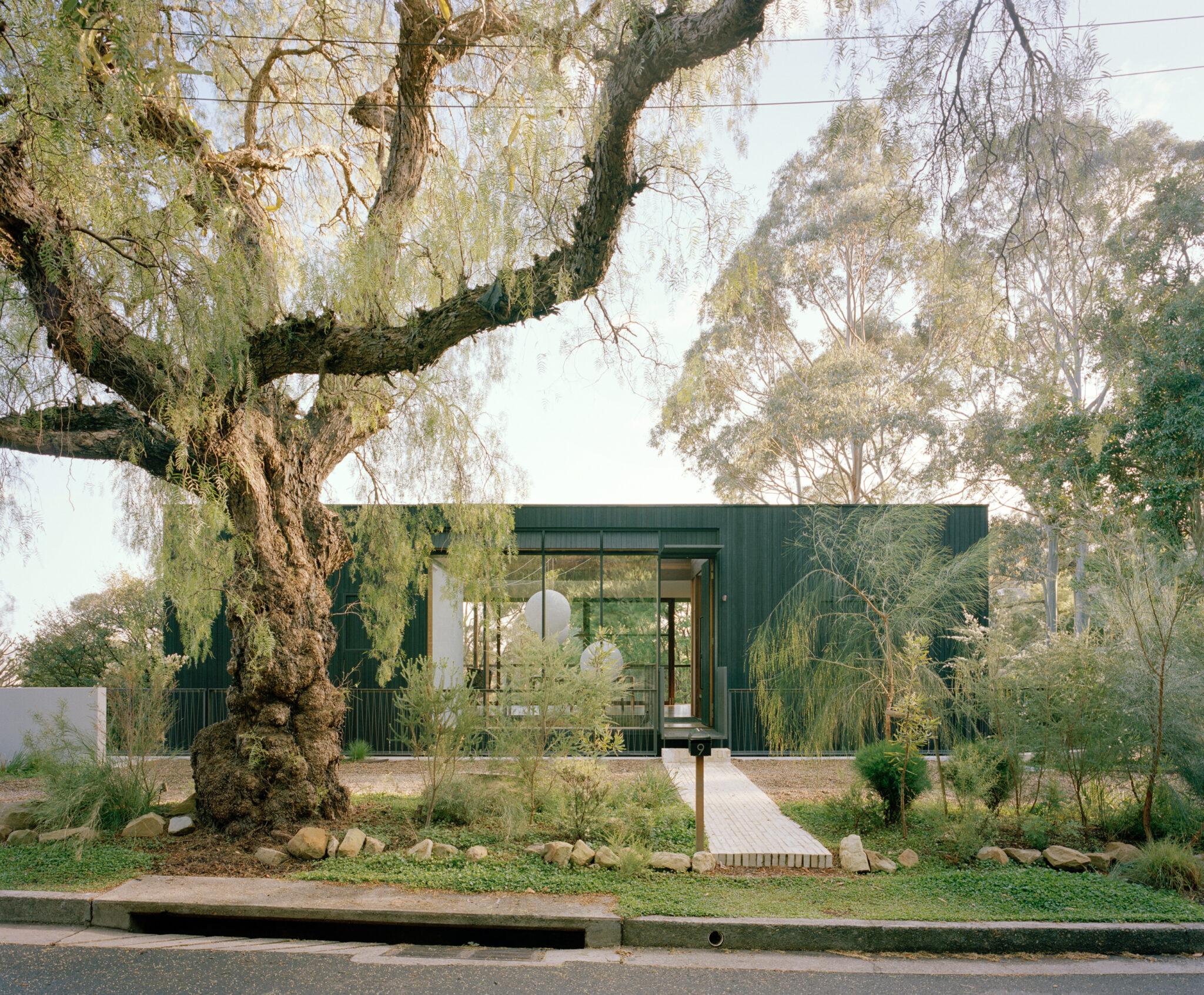 Design Choices | Cloaked House and Sustainable Design Strategies